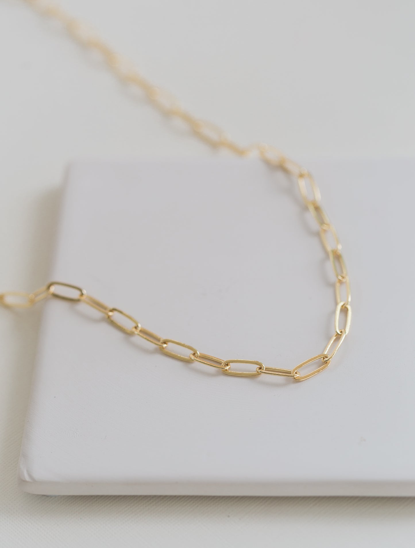 Hayden Paperclip Chain Necklace